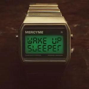 Wake Up Sleeper